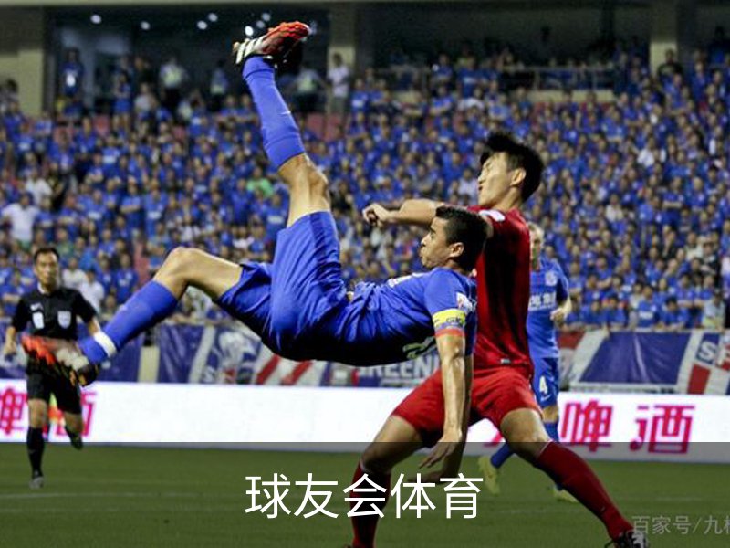 球友会体育介绍